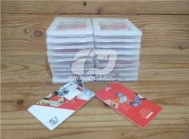portofolio flashdisk kartu 3