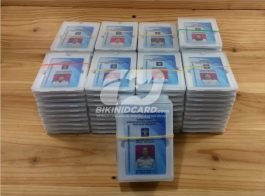 portofolio flashdisk kartu 4