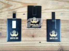 portofolio flashdisk kartu 5