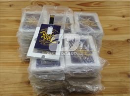 portofolio flashdisk kartu 6